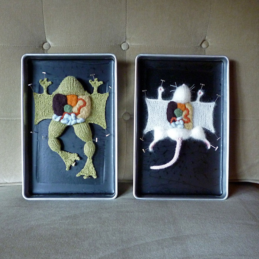 Learn Anatomy From Dissected Knit Creatures By Emily Stoneking | Bored Panda