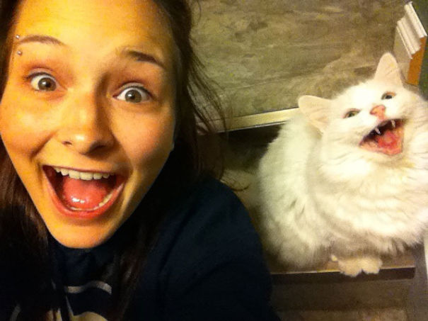 My Friend Took This Picture With Her Cat On A Total Fluke