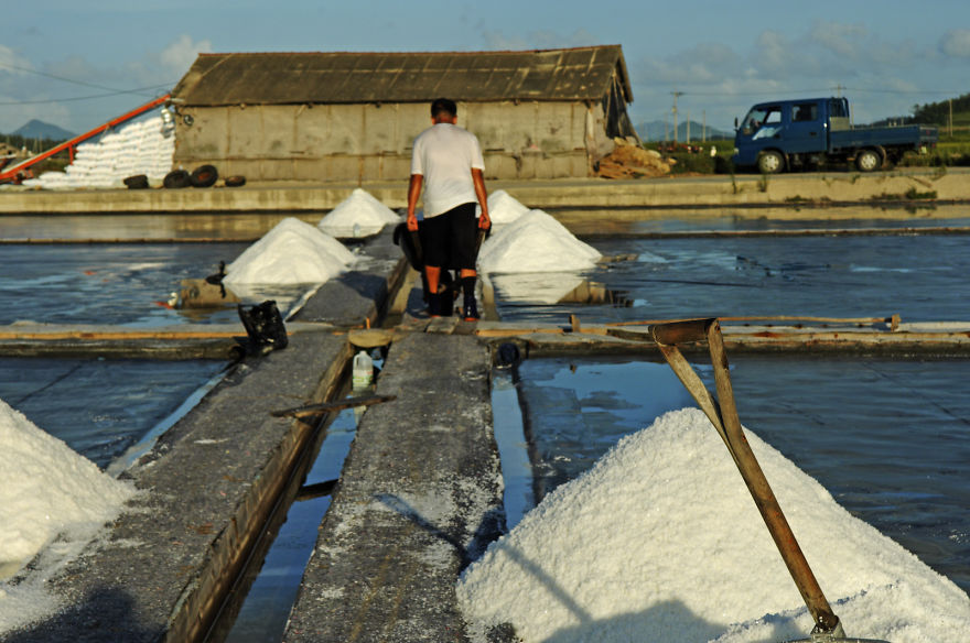 Sea Salt Farming In Docho, South Korea