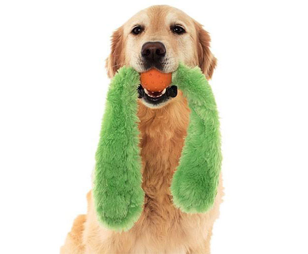 Doggles Tails Ball Dog Toy