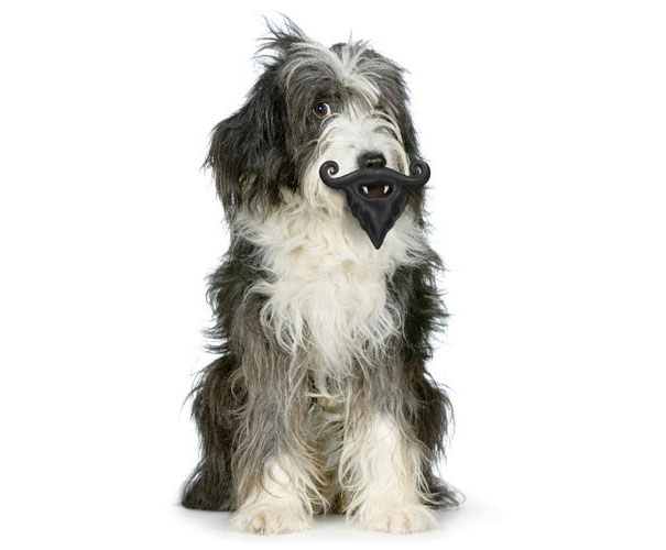 Moustache Toy For Dogs