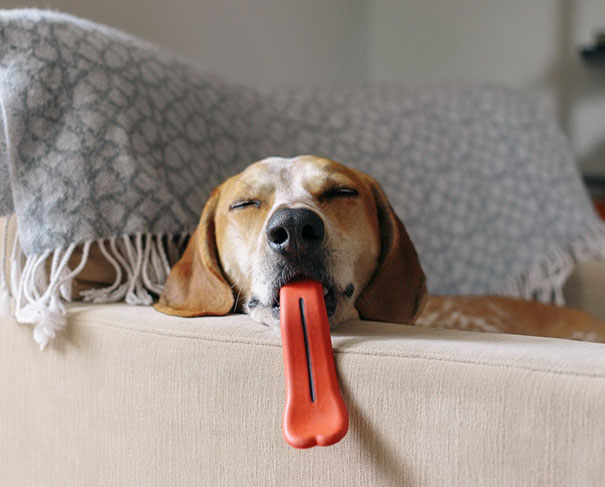 Giant Tongue Dog Chew Toy