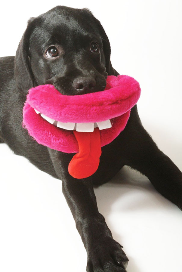 Ancol Plush Dog Lips Dog Toy