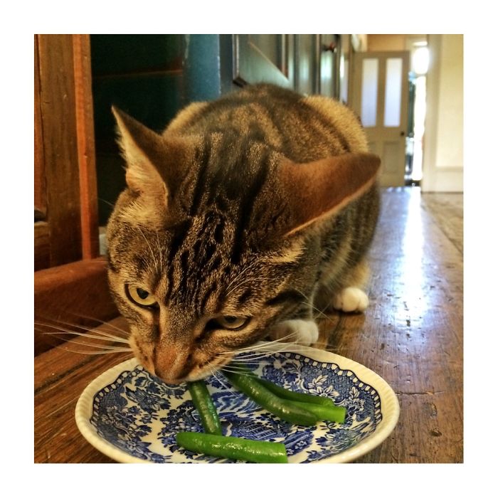 Ada Goes Nuts For Green Beans