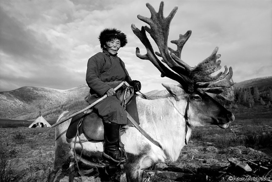The Everyday Life Of Reindeer People Living In Mongolia