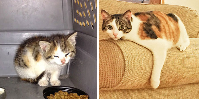 Little Kayle Was Found Inside Neighbor's Car's Wheelwell. Now She Is Happier Than Ever