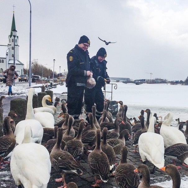 UPDATE: Reykjavik Police Instagram Continues To Be Awesome