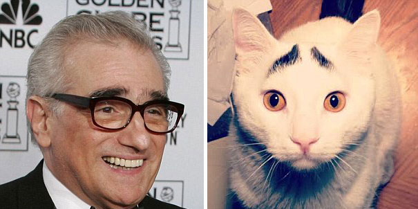 Martin Scorsese And This Cat