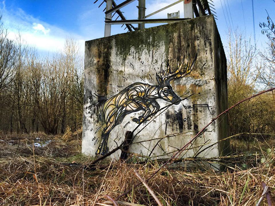 street-art-geometric-line-animals-dzia-belgium-15