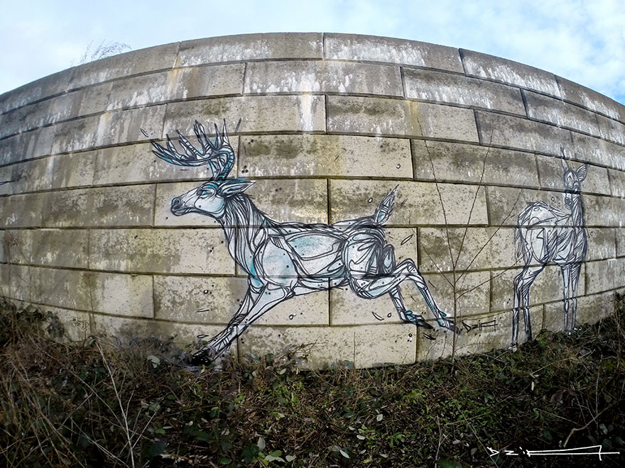 street-art-geometric-line-animals-dzia-belgium-3