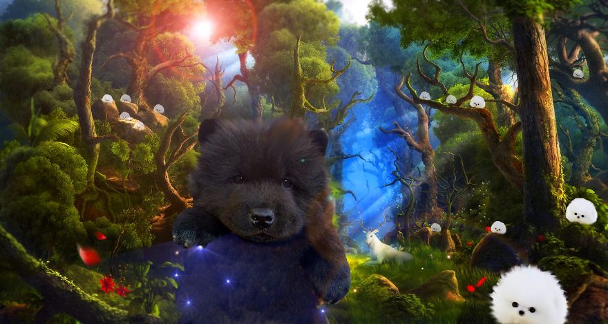 The Secret World And Intelligence Of Teddy Bears A Surreal Photo Collection