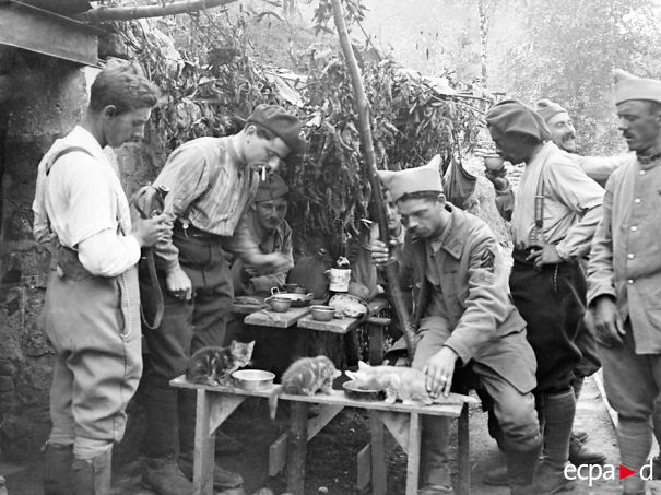 The Camp Moulin Rouge Soldiers Feeding Their Kittens. Beaurieux. 1914