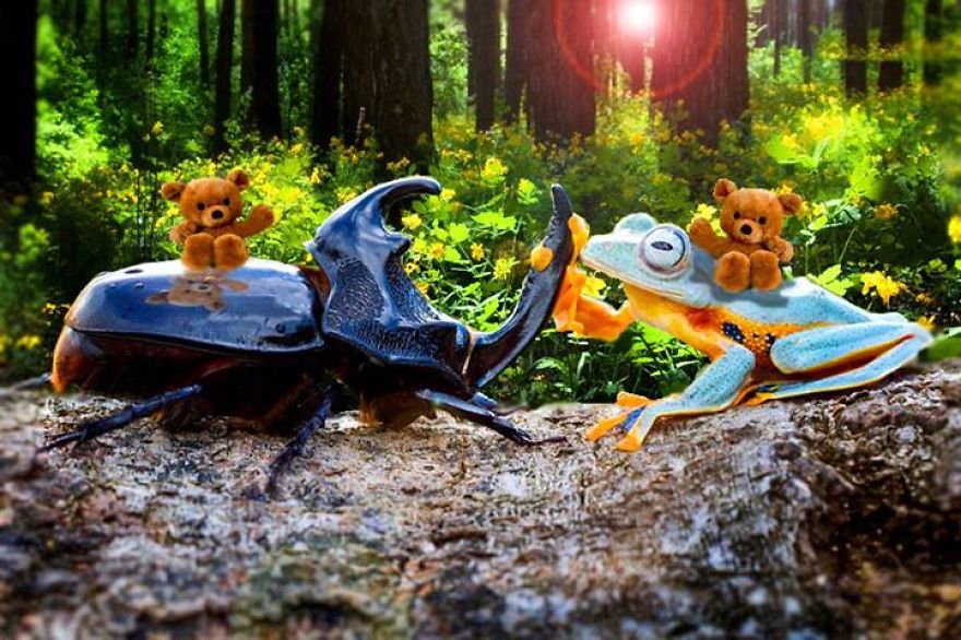 The Secret World And Intelligence Of Teddy Bears A Surreal Photo Collection