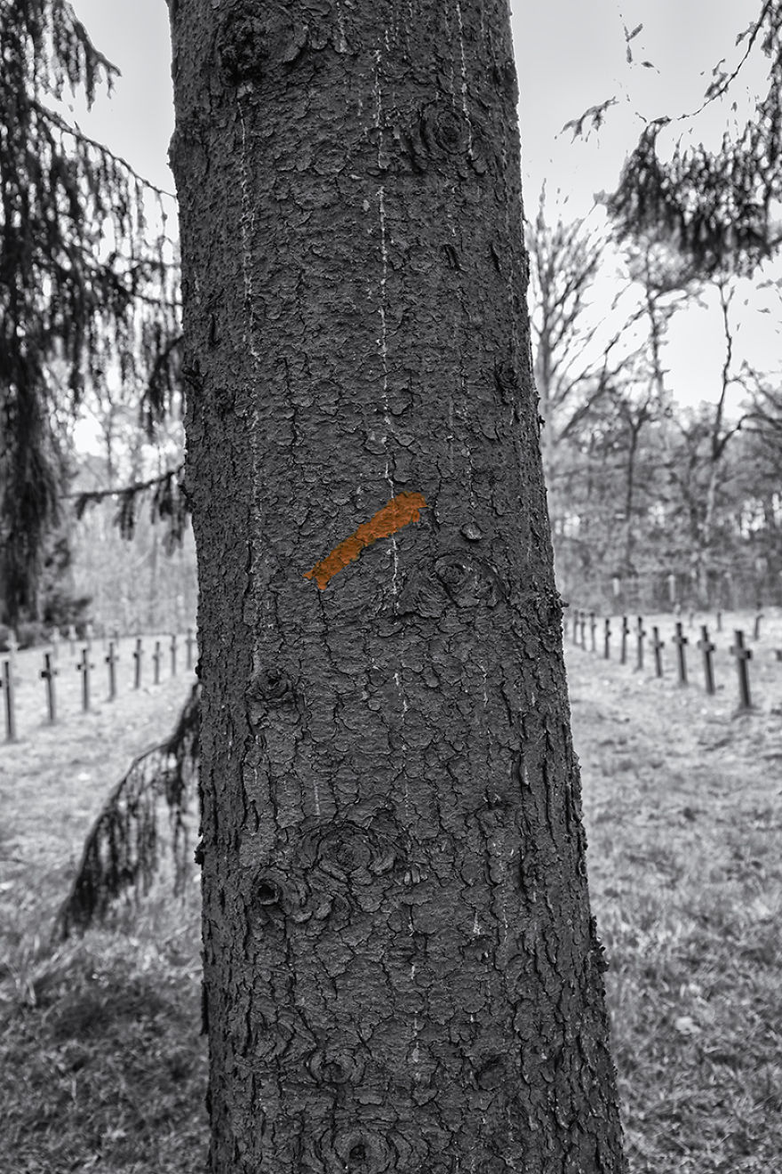 Forgotten...