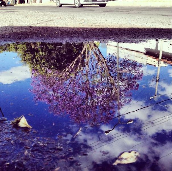 I Love Puddles And Photography.