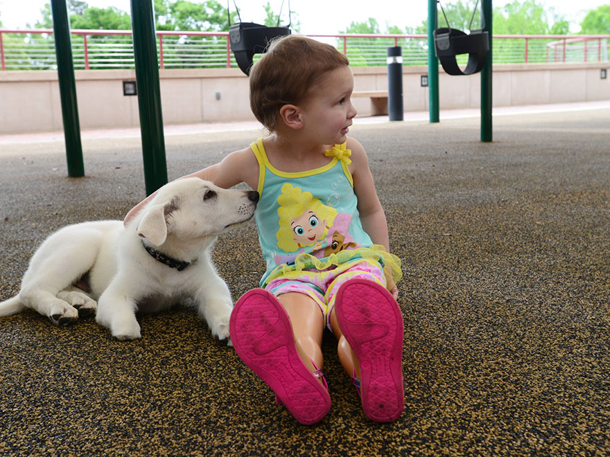 3-Year-Old Girl Without Feet Receives A Puppy Without A Paw