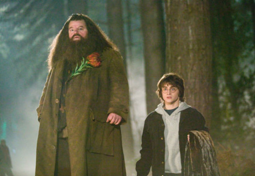 5 Reasons Why Hagrid Is Basically Your Grandmother
