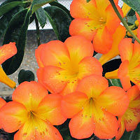 barbaraquittenbaum avatar