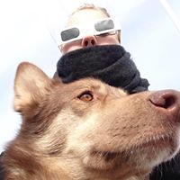 inka_sallinen avatar