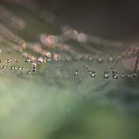 spudnik_chupachup avatar