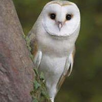 552c64c433c02 avatar