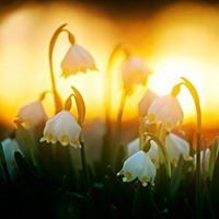 552e99d7b9a88 avatar