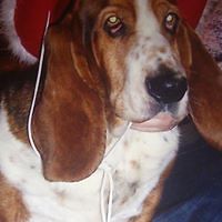 552f9efd53aa3 avatar