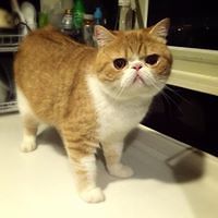 55309d5763771 avatar