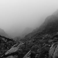 5530ce382bb7f avatar