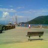 elidabernaschina avatar