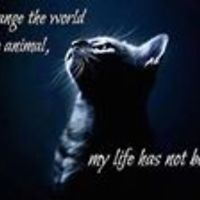 553135f9acef6 avatar