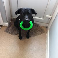 darksideproduct avatar