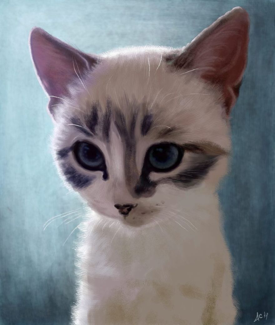 I Completed A Series Of Beautiful Cat Digital Drawings