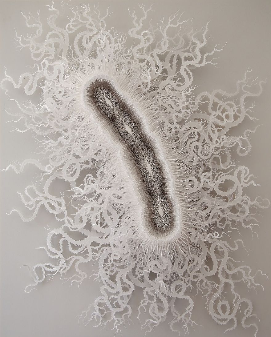 I Spent 4 Months Hand-Cutting A Paper Microbe