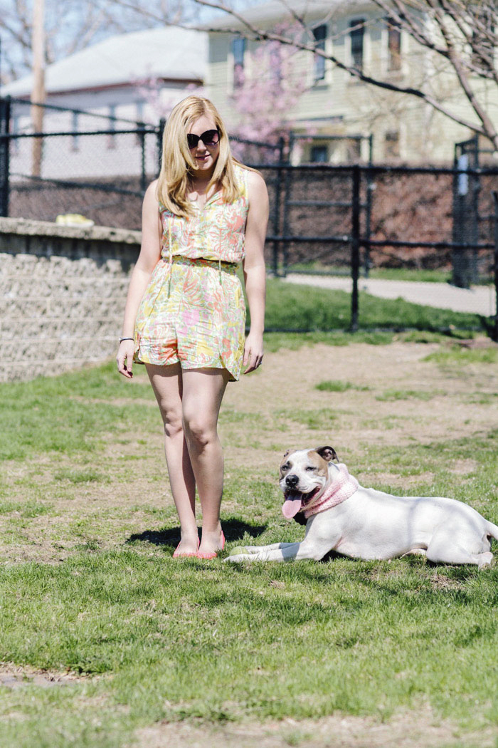 Fashion Blogger Raises Support For Animal Adoption