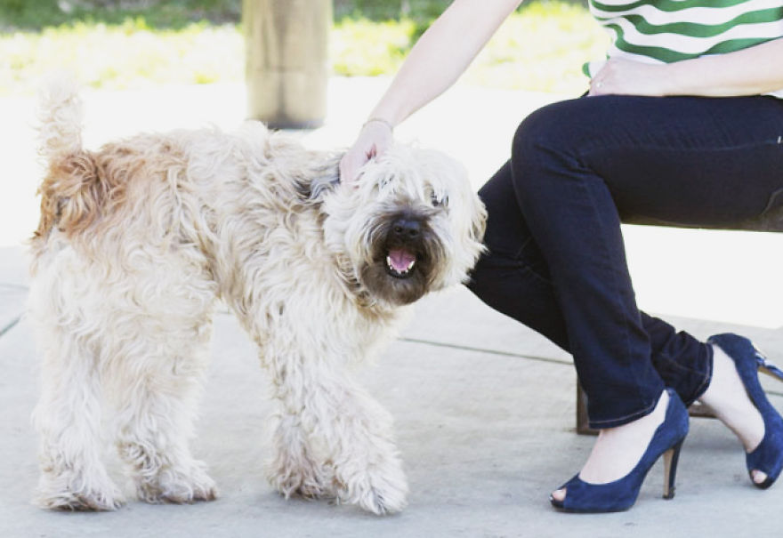 Fashion Blogger Shows Off Adoptable Animals