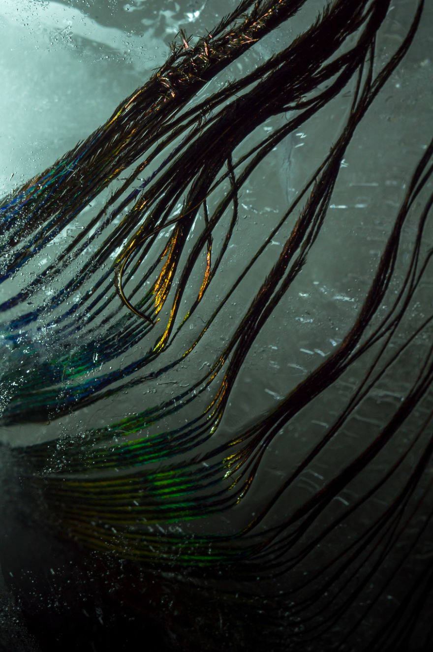 The Mysterious Beauty Of Nature Captured In Ice