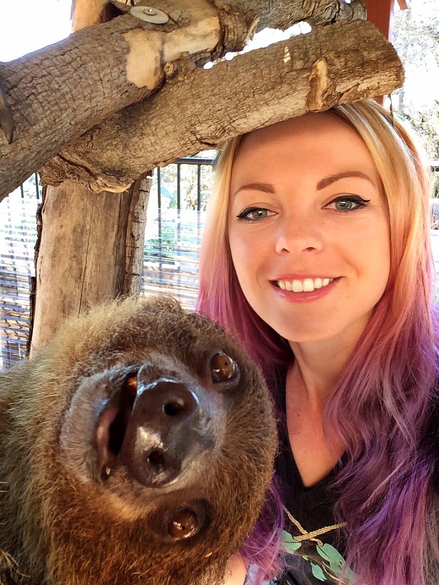 Sloth Selfie = Slothfie? Slofie?