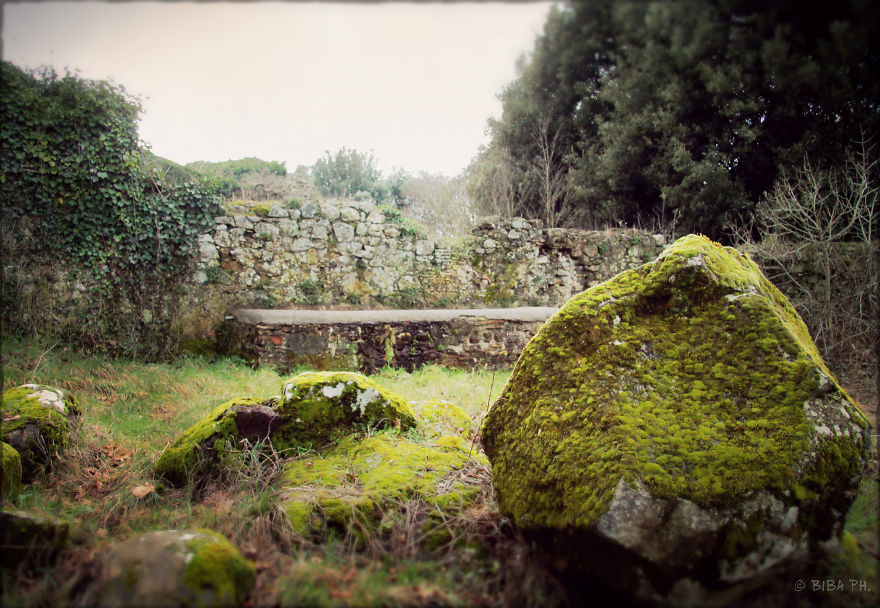 Emily Bronte's Atmosphere