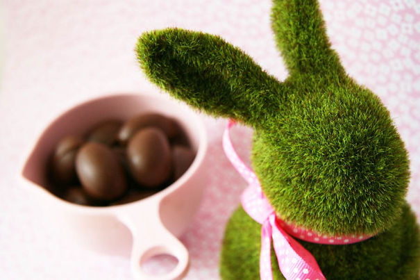It's Coming Easter,and,i Got Some Photos For It!