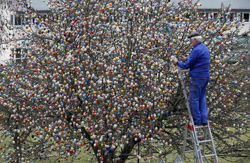 This German Family Spent More Than 2 Weeks Decorating A Tree With 10,000 Painted Eggs