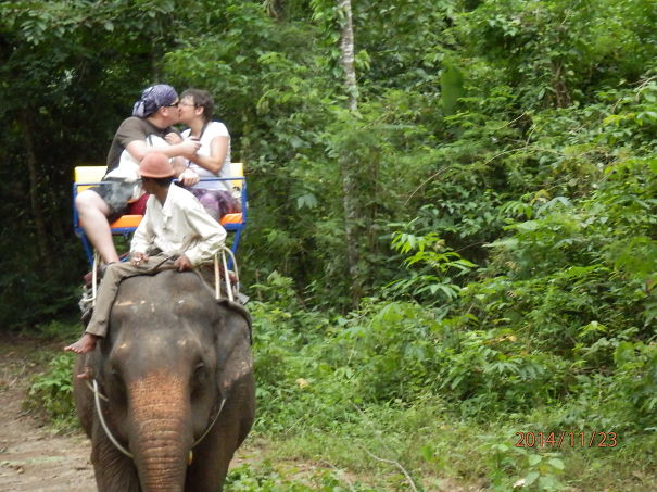Marriage Proposal On The Back Of An Elephant, Thailand, 23rd Of November 2014