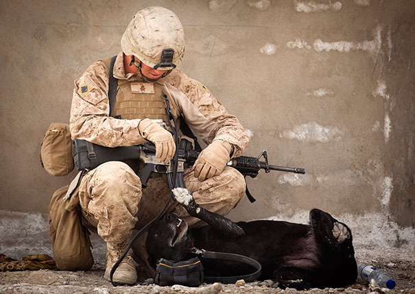 Soldier With A Dog