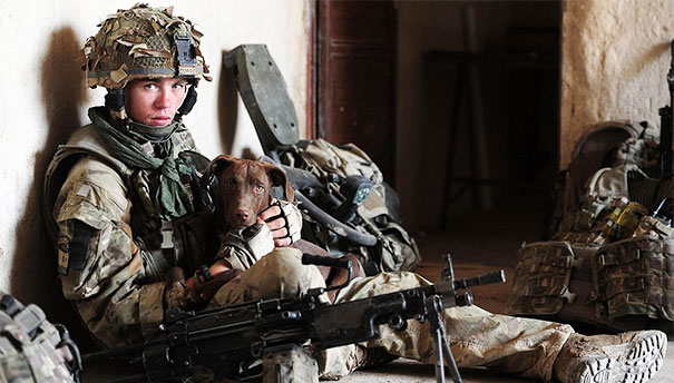 Soldier With His Pup