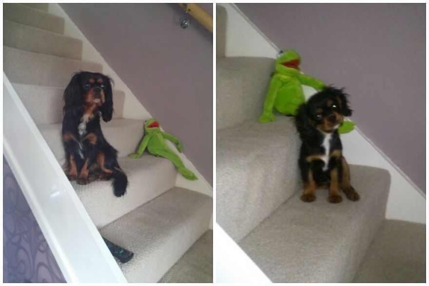 Lynott Half Way Up The Stairs, What A Difference A Year Makes