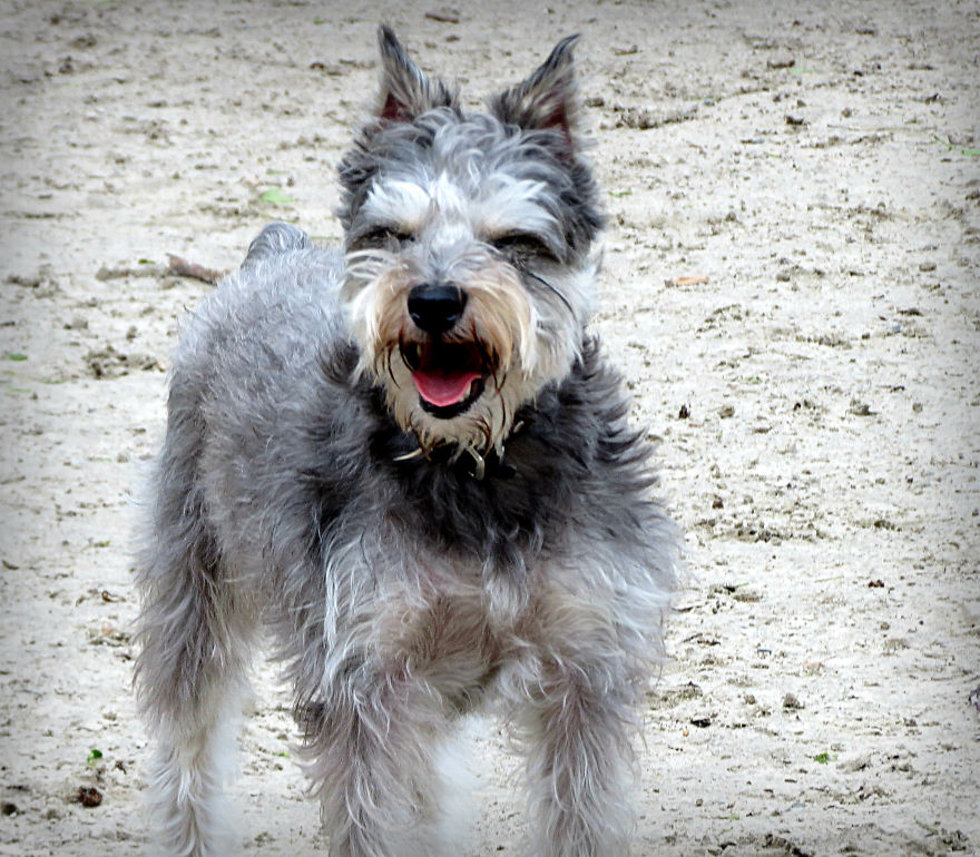 Happy Rocky.