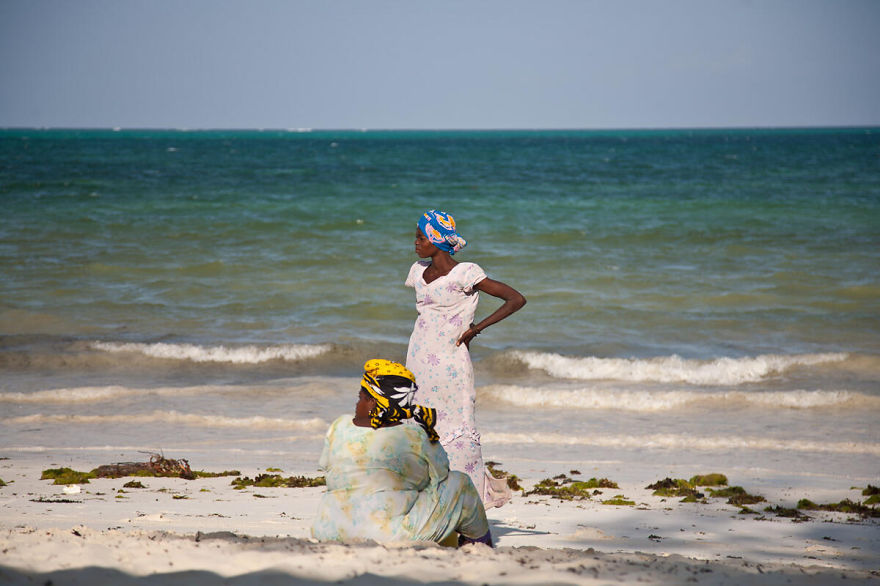 The Spice Island Of Zanzibar