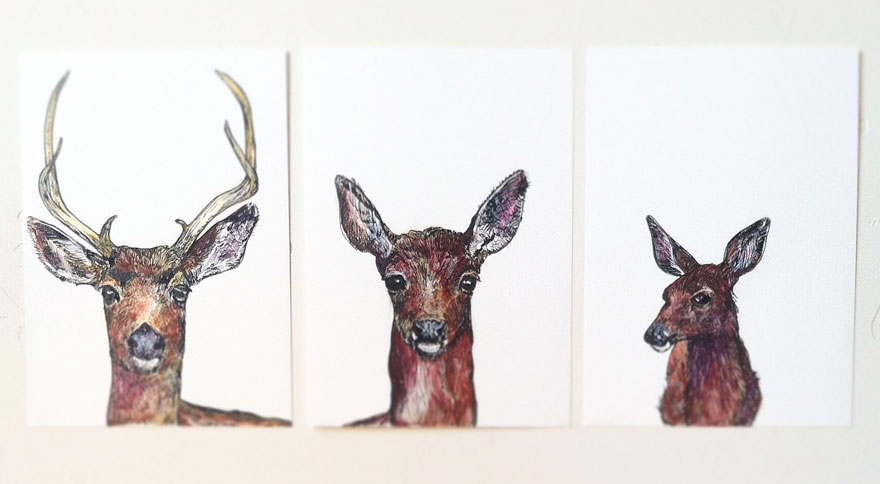I Draw Animal Watercolors Inspired By My Time Spent Living In The Wild