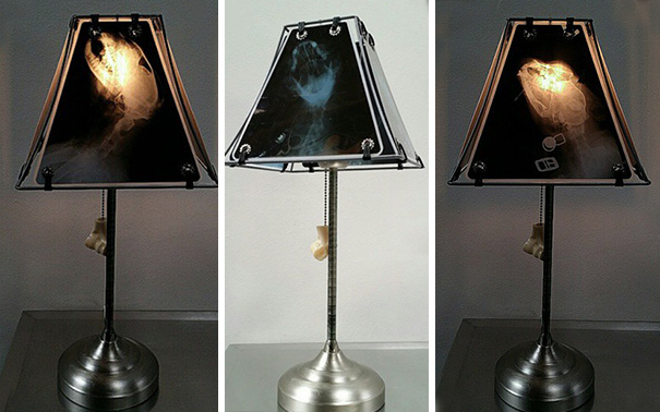 Pet Oncologist Creates Lamps With Animal X-Rays
