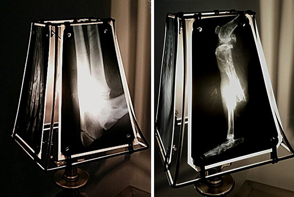 animal-x-ray-lamp-shade-veterinary-oncologist-spike-vain-3